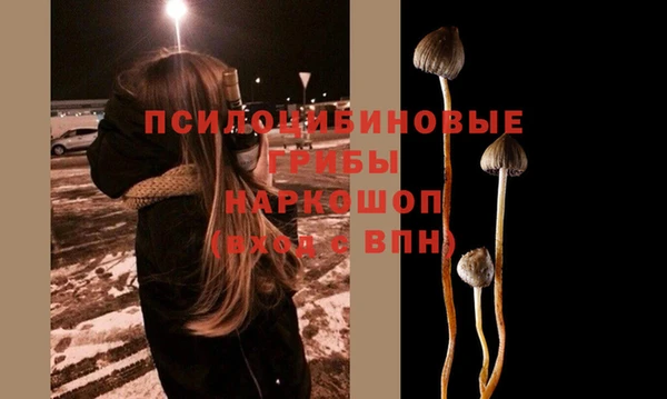 гидра Белокуриха