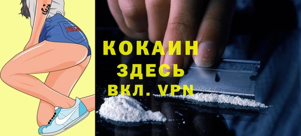 гидра Белокуриха