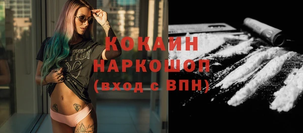 гидра Белокуриха