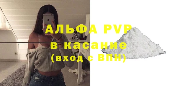 гидра Белокуриха