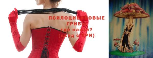 первитин Богданович