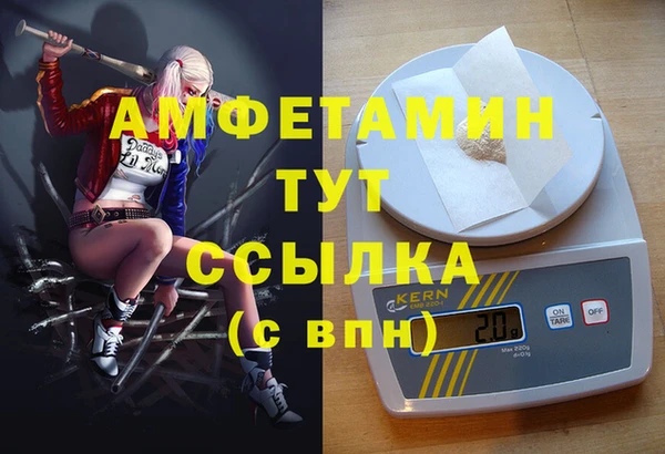 гидра Белокуриха