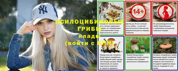 COCAINE Богородицк