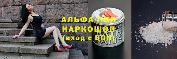стаф Беломорск