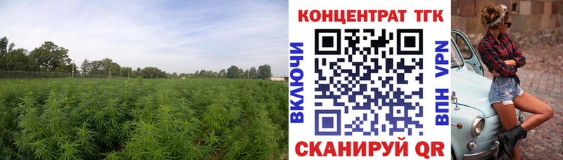 кракен онион Вязьма ТГК жижа цена наркотик