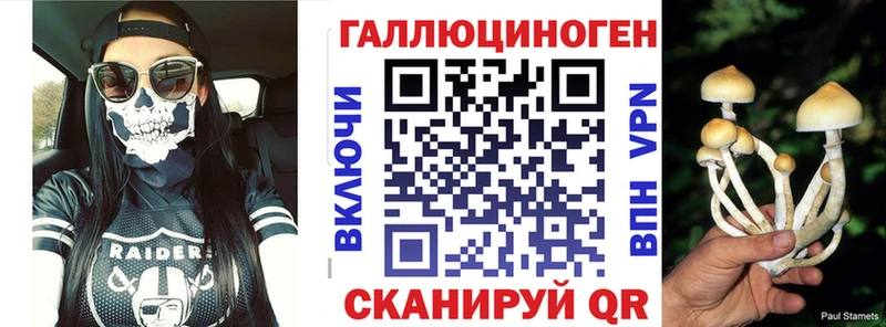 Псилоцибиновые грибы GOLDEN TEACHER  Вязьма 