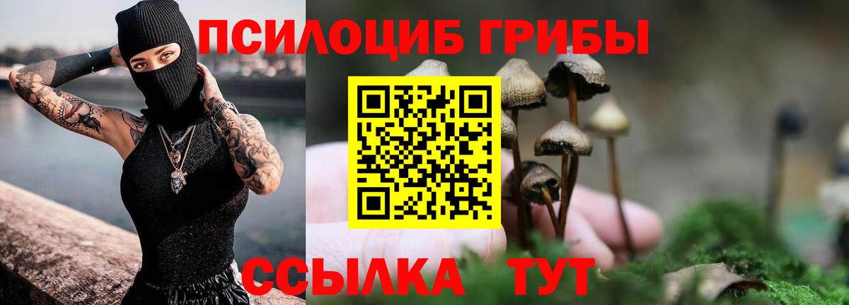Вязьма  Псилоцибиновые грибы ЛСД  Вход с VPN 